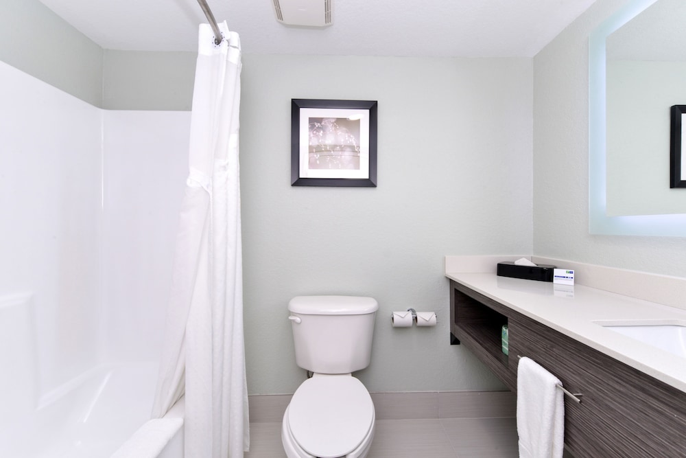 Holiday Inn Express & Suites Naples North Bonita Springs an IHG Hotel - photo 2