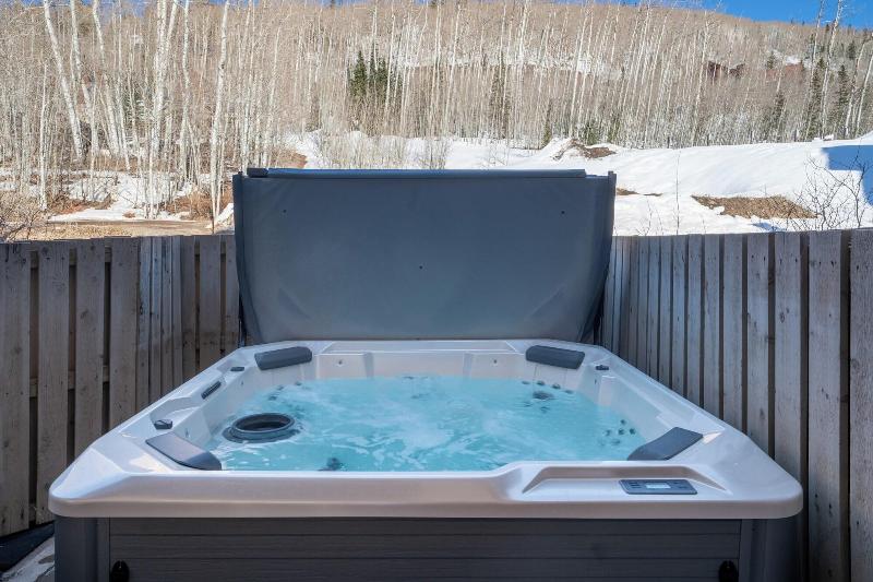 Le Chamonix by Telluride Alpine Lodging - photo 5