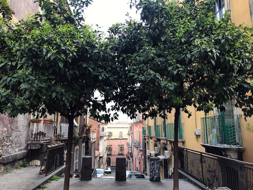 Dimora San Camillo — Catania — photo 2