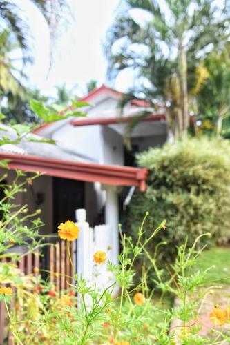 Bliss Inn - last minute hotel in Unknown City