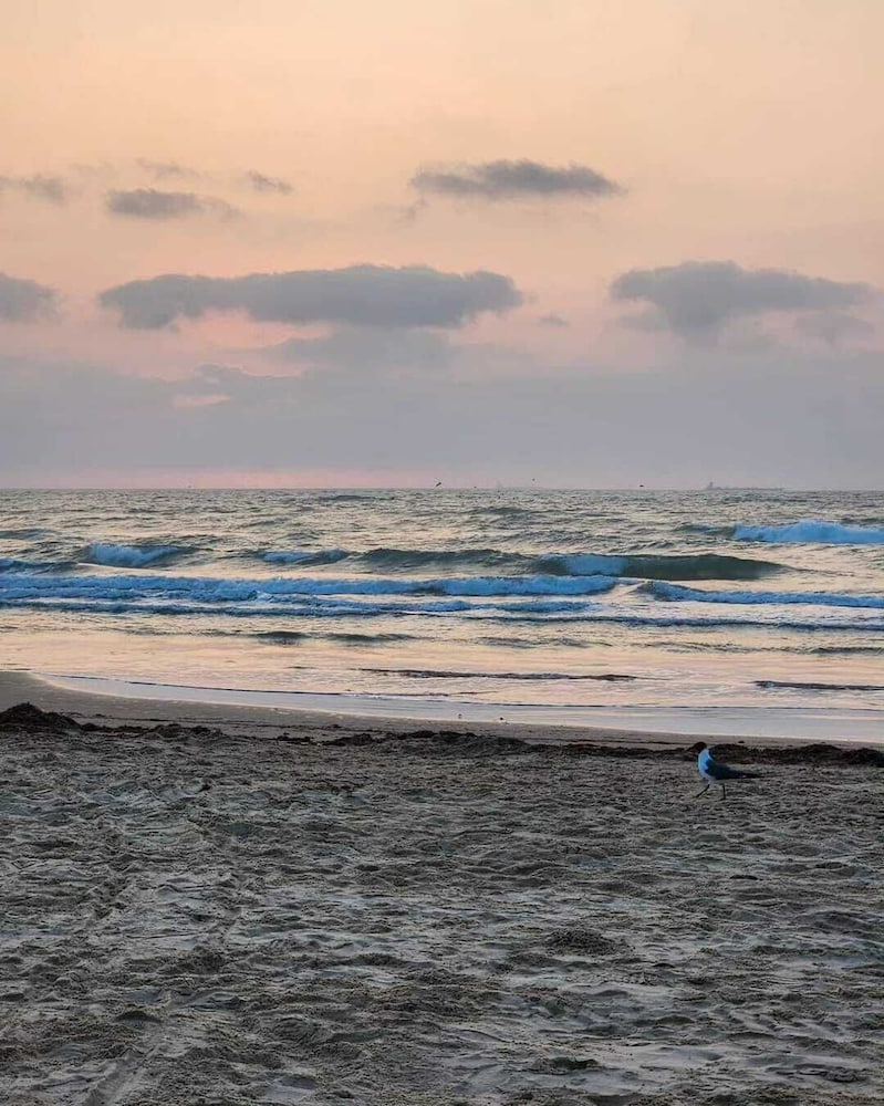 Holiday Inn Resort South Padre Island Beach Front by IHG - photo 148