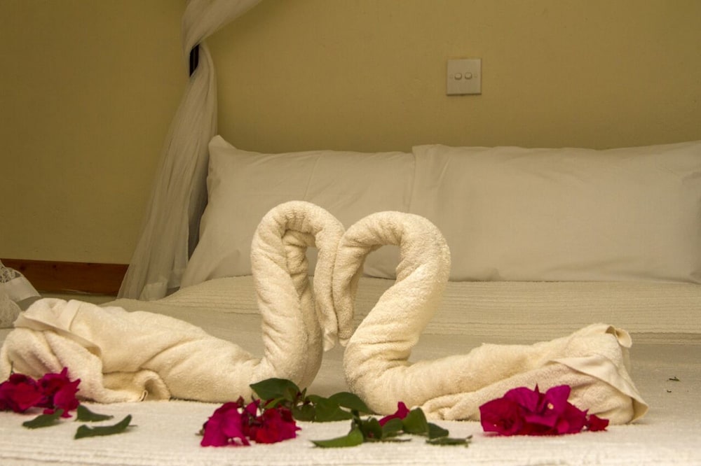 Lavender Garden Hotel — Wundanyi — photo 3