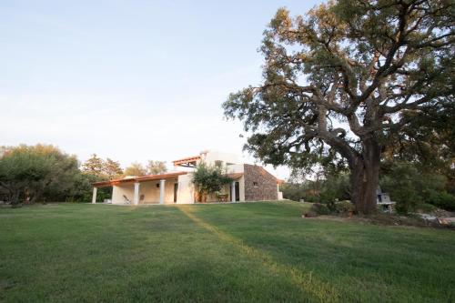 Su Suberju in San Teodoro, Italy