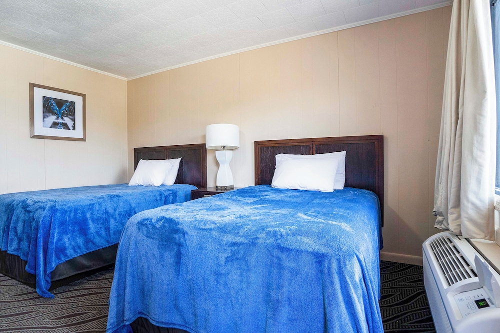 OYO Hotel Opp Al Floral Hwy - photo 5