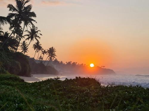 Surf Forever - carbon neutral hotel in Weligama