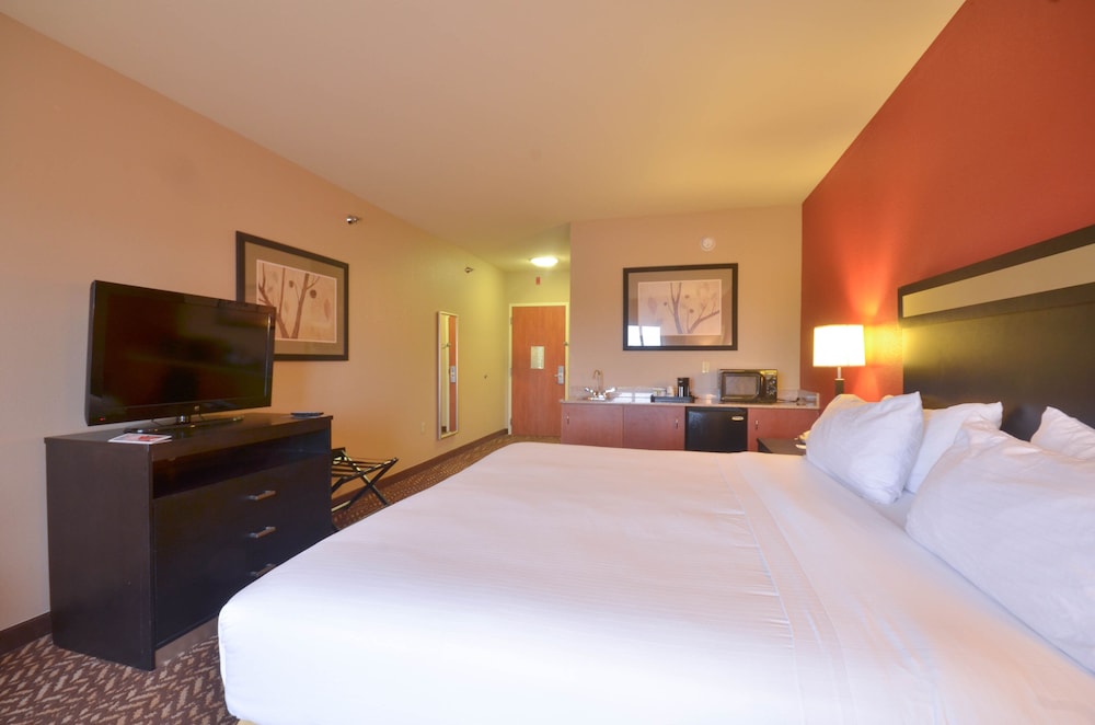 Holiday Inn Express Hotel & Suites Pine Bluff Pines Mall by IHG - photo 16