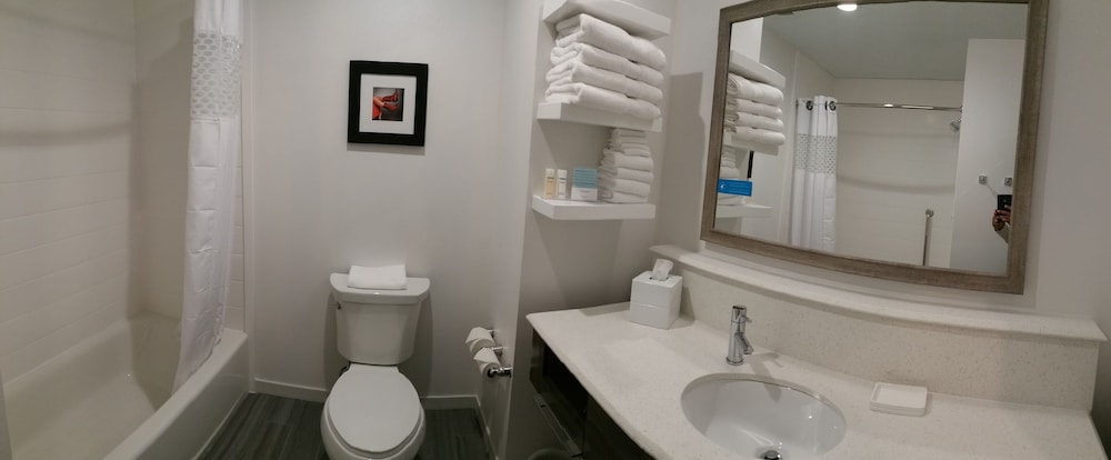 Hampton Inn & Suites Houston Atascocita - photo 49