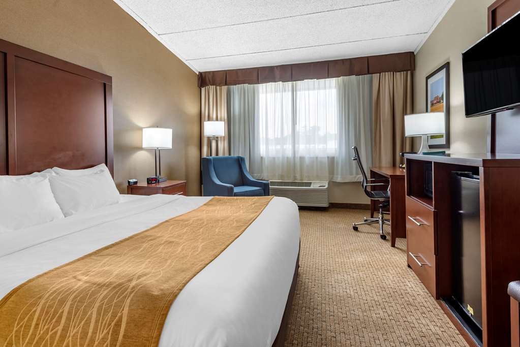 Comfort Inn Lancaster County North - photo 7