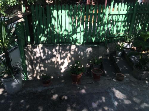 Apartment Liko
