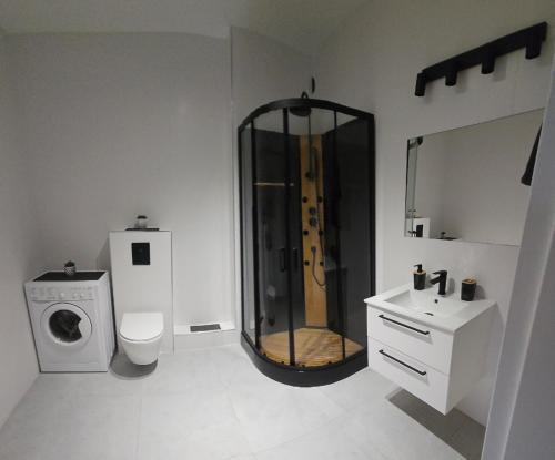 Apartament przy Stadionie — Poznan — photo 5