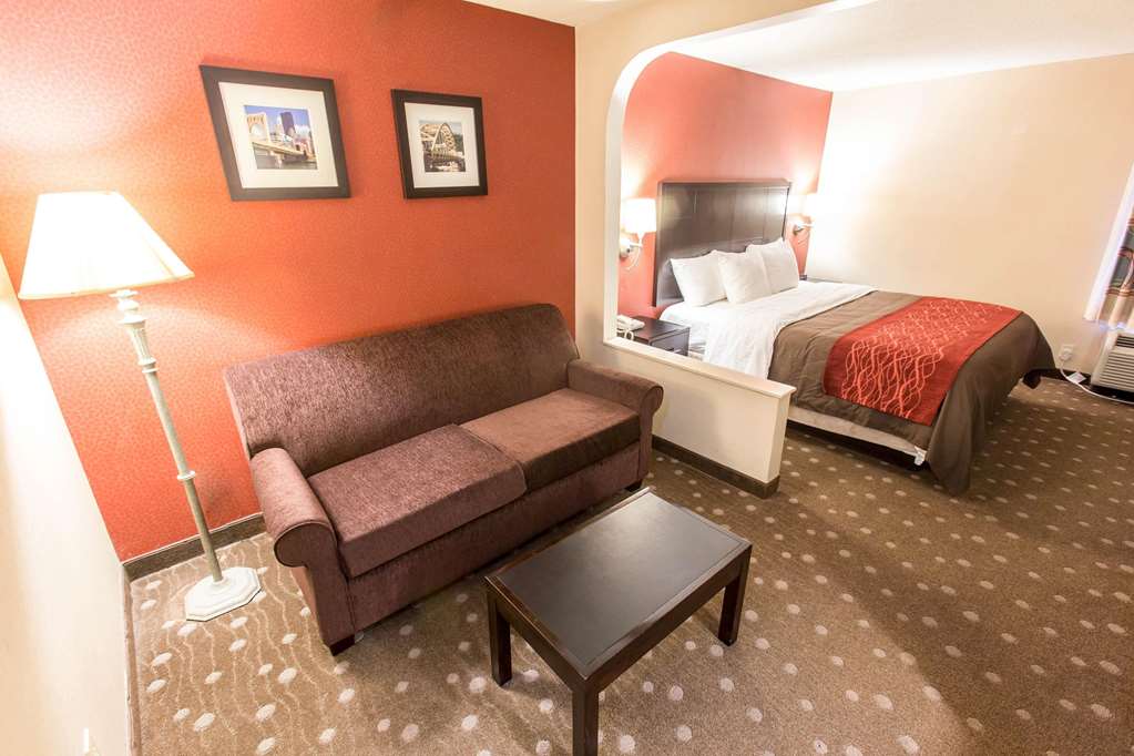 Comfort Inn Pittsburgh Crafton - photo 13
