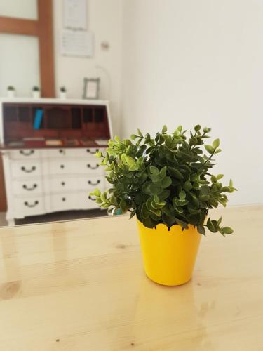 Jacob’s Hotel TUI in Tui, Spain