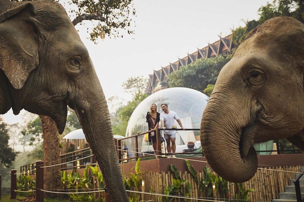 Anantara Golden Triangle Elephant Camp & Resort — 5-Star Luxury Hotel in Chiang Rai, Thailand