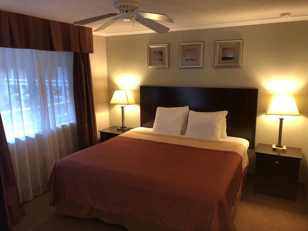 Global Inn - photo 3