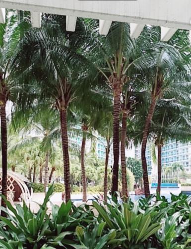 Azure Beach Front View - last minute hotel in Manila