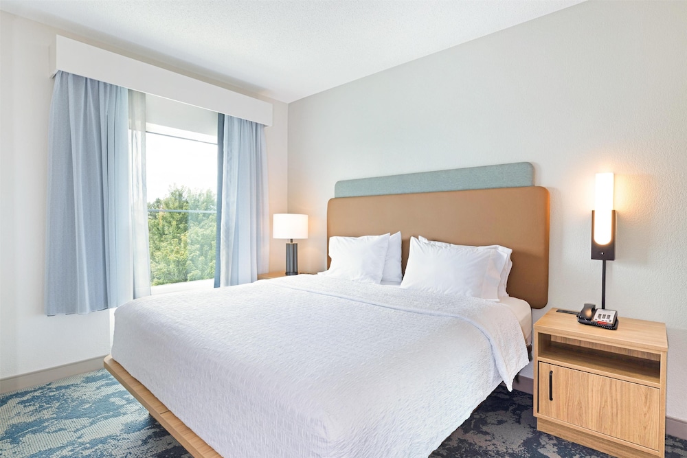 Hampton Inn Lawrenceville Duluth - photo 9
