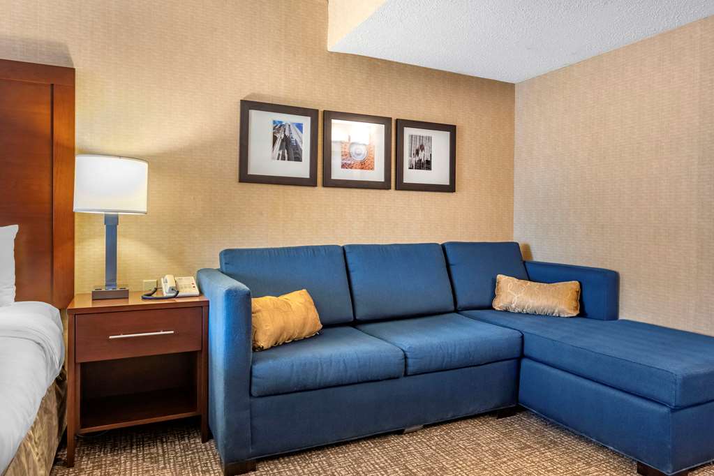 Comfort Inn Meadowlands - photo 11