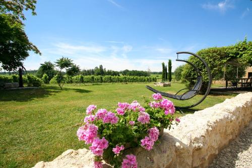 Bleu Raisin — Castillon-La-Bataille — photo 5