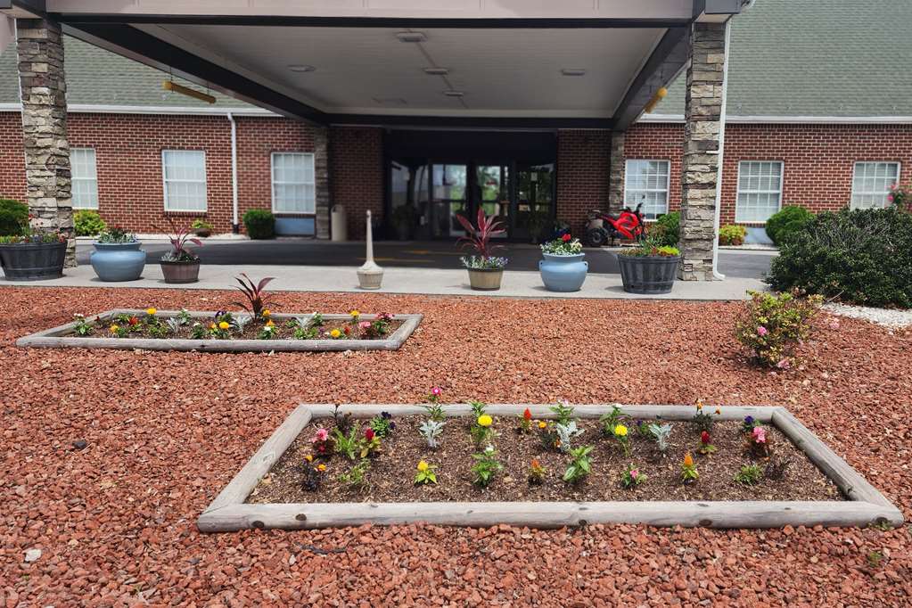 Quality Inn Dublin I 81 - photo 8