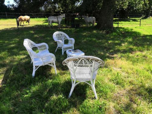 La Marquise Penchee - last minute hotel in Unknown City