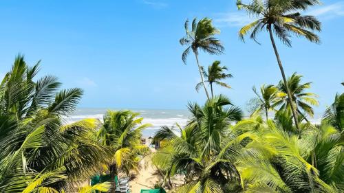 Syl Resort — Arambol — photo 5