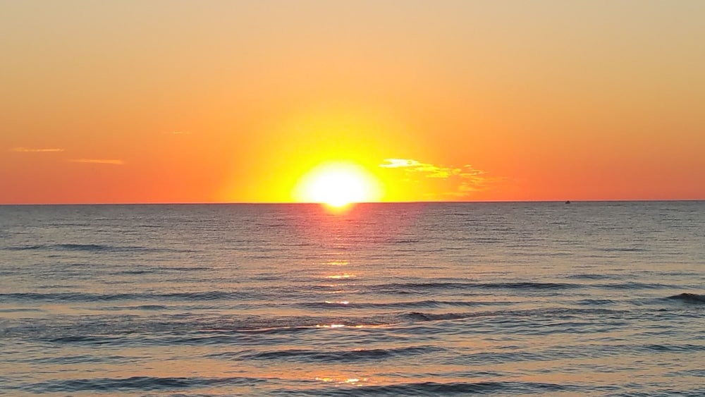 Treasure Island Ocean Club - photo 101