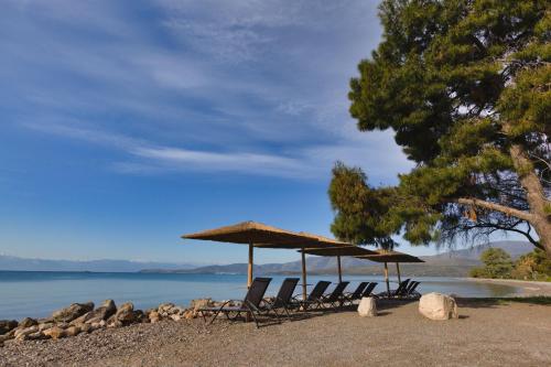 Kalafatis Garden House — 4-Star Luxury Hotel in Itea, Greece