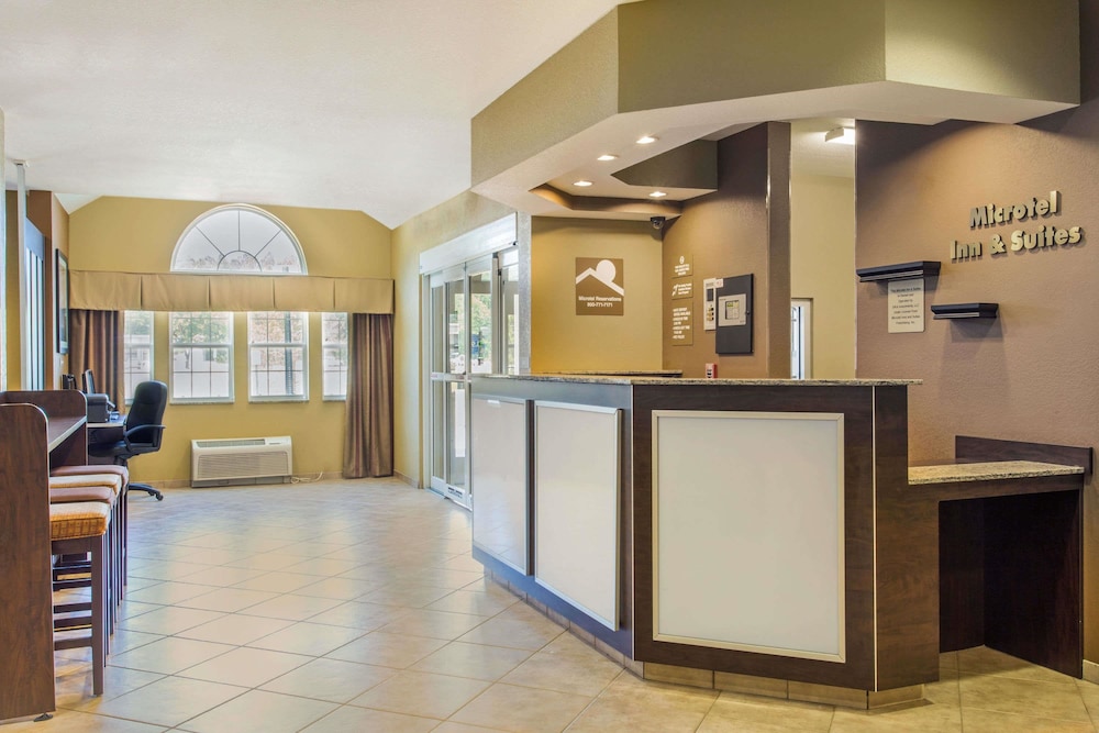 Microtel Inn & Suites by Wyndham Pearl River Slidell - photo 2