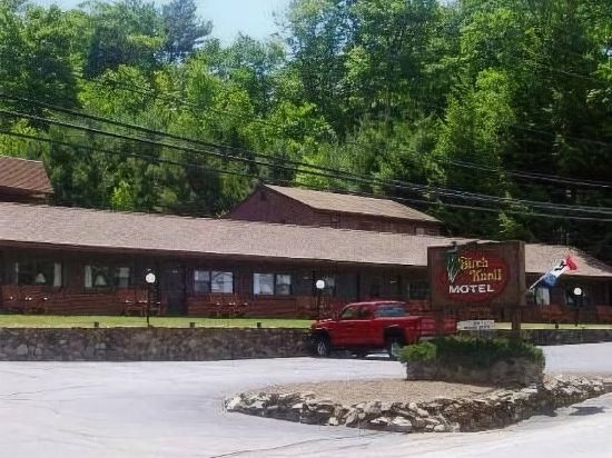 Birch Knoll Motel - photo 13
