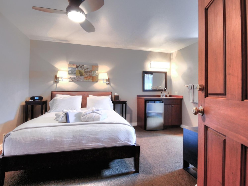 Bird Rock Hotel - photo 9