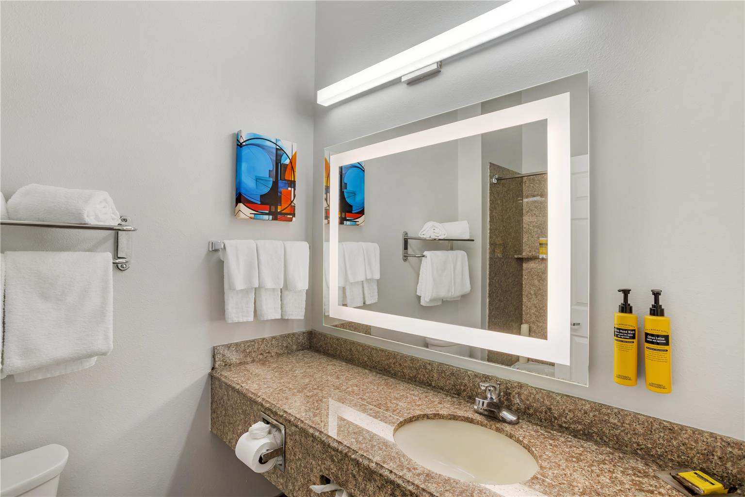 Best Western Plus New Caney Inn & Suites - photo 20