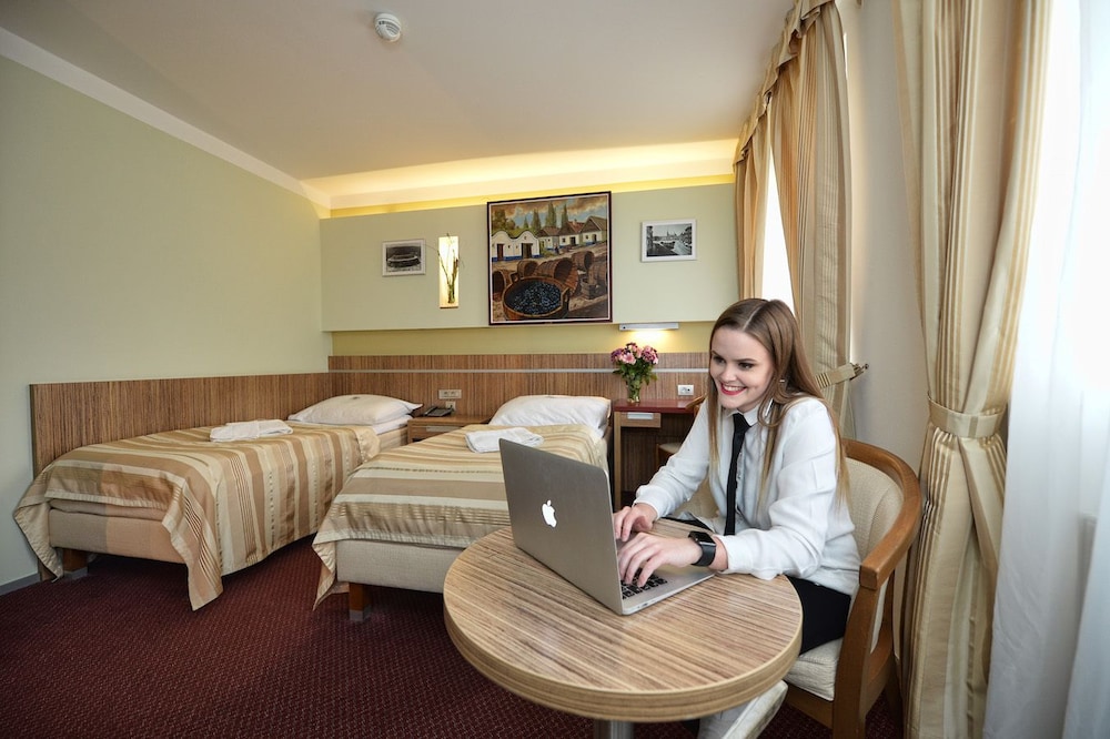 Hotel Vaka — Brno — photo 5
