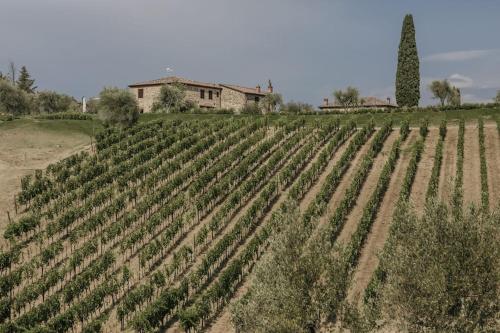 Wine Resort Campacci — Unknown City — photo 4
