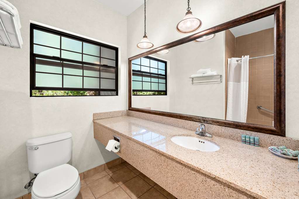 Best Western Stagecoach Inn - photo 15