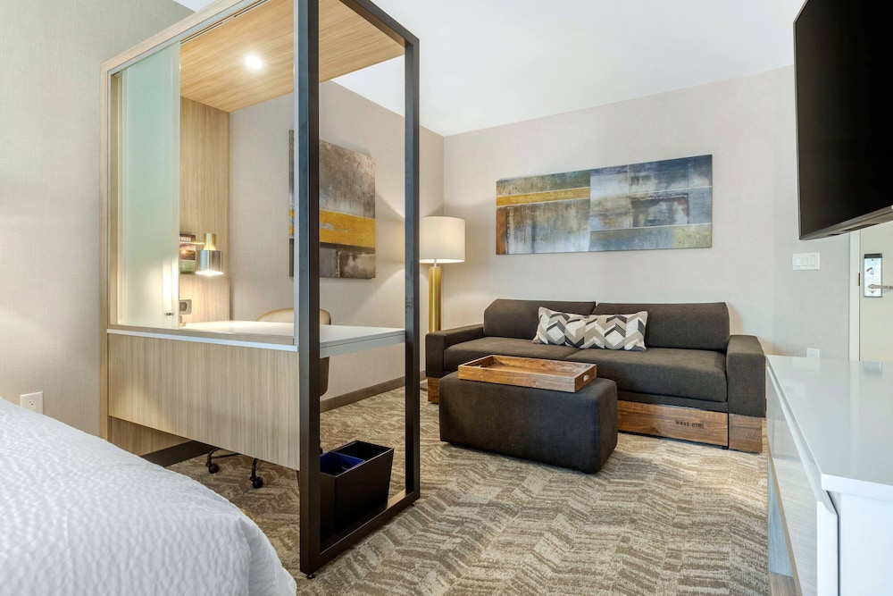 SpringHill Suites by Marriott Charlotte Southwest - photo 10