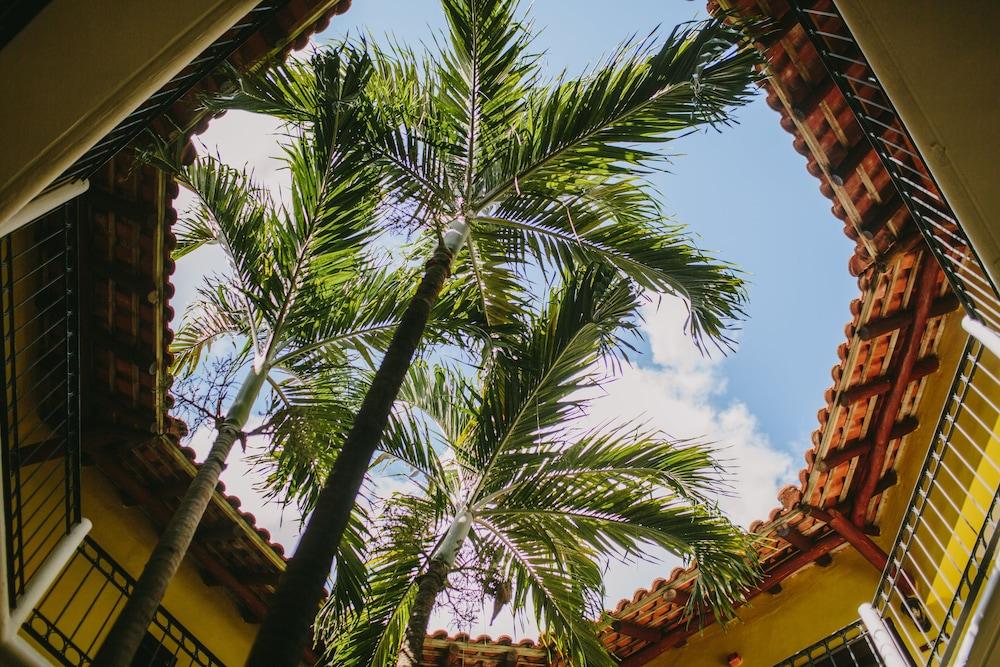 Royal Level at Occidental Cozumel All Inclusive in Cozumel, Mexico