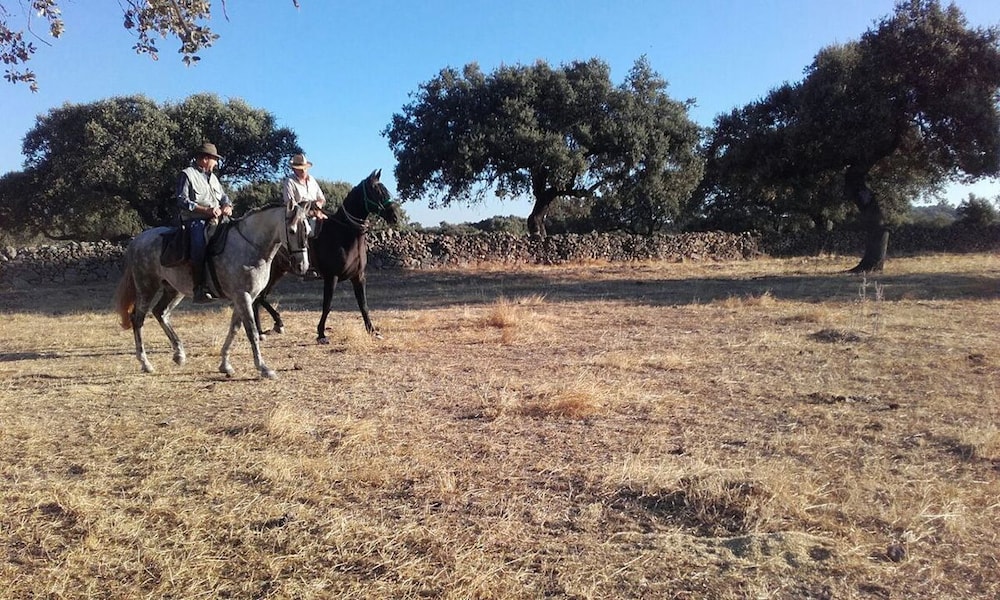 Finca Las Gamitas - last minute hotel in Escurial