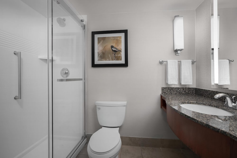 Hilton Garden Inn Denver Downtown - photo 46