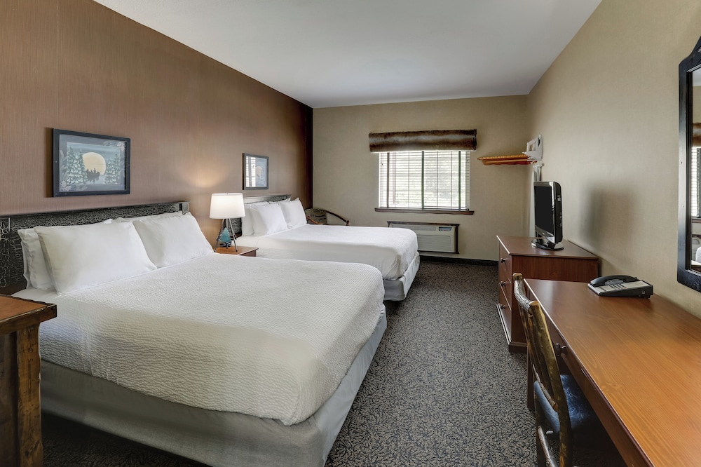 Stoney Creek Hotel Columbia - photo 8