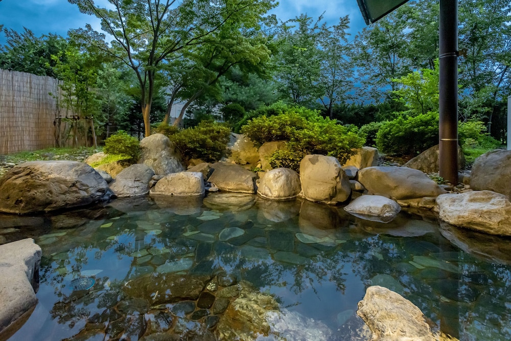 Kurobe View Hotel in Omachi, Japan