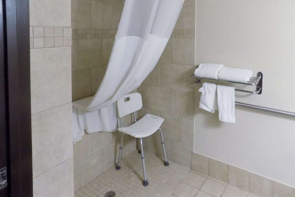 Quality Inn DFW Airport North - photo 21