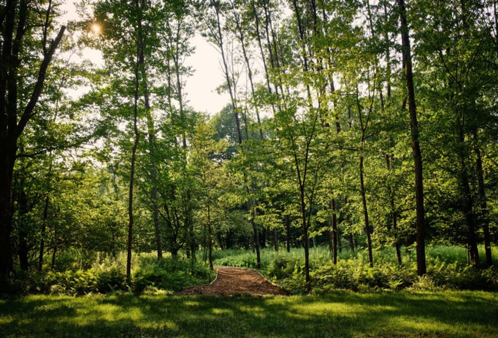 Callicoon Hills - photo 70