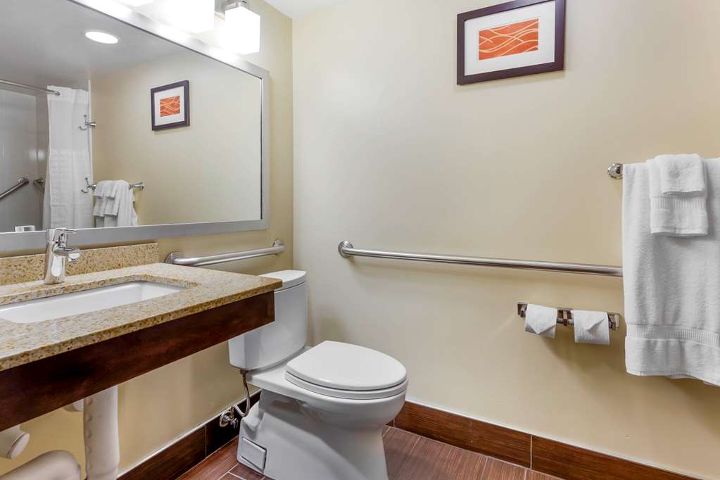Comfort Inn Hammond I 94 - photo 34