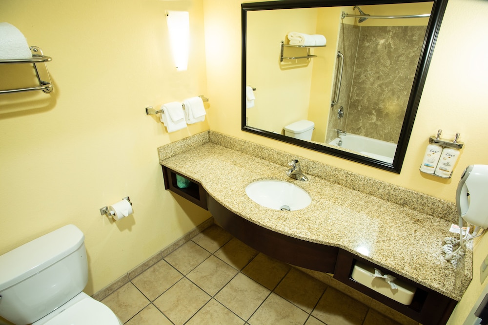 Holiday Inn Express Hotel & Suites Harrisburg West by IHG - photo 13