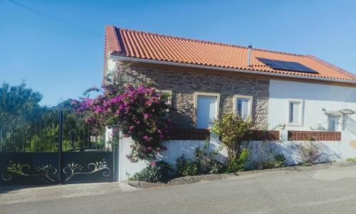 Casa da Celeste AL — 4-Star Luxury Hotel in Ferreira Do Zezere, Portugal