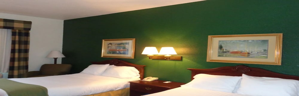 Ruskin Inn Hotel - photo 9