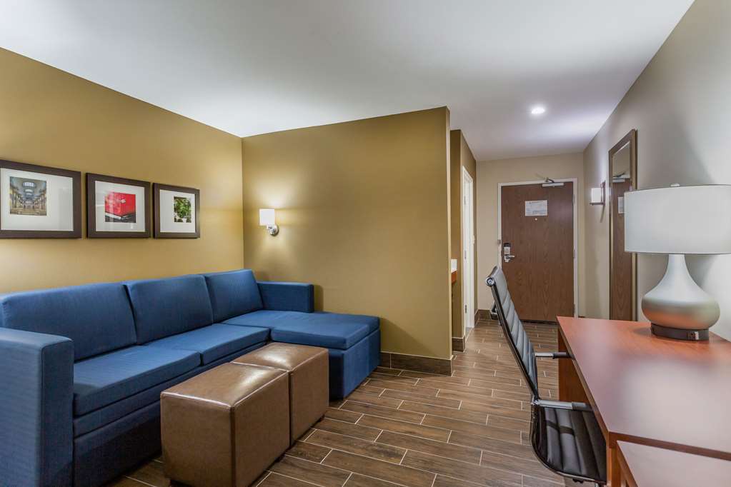 Comfort Suites Bowling Green Southeast - photo 9