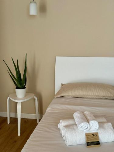 Aloe Comfort Rooms in Pescara, Italy