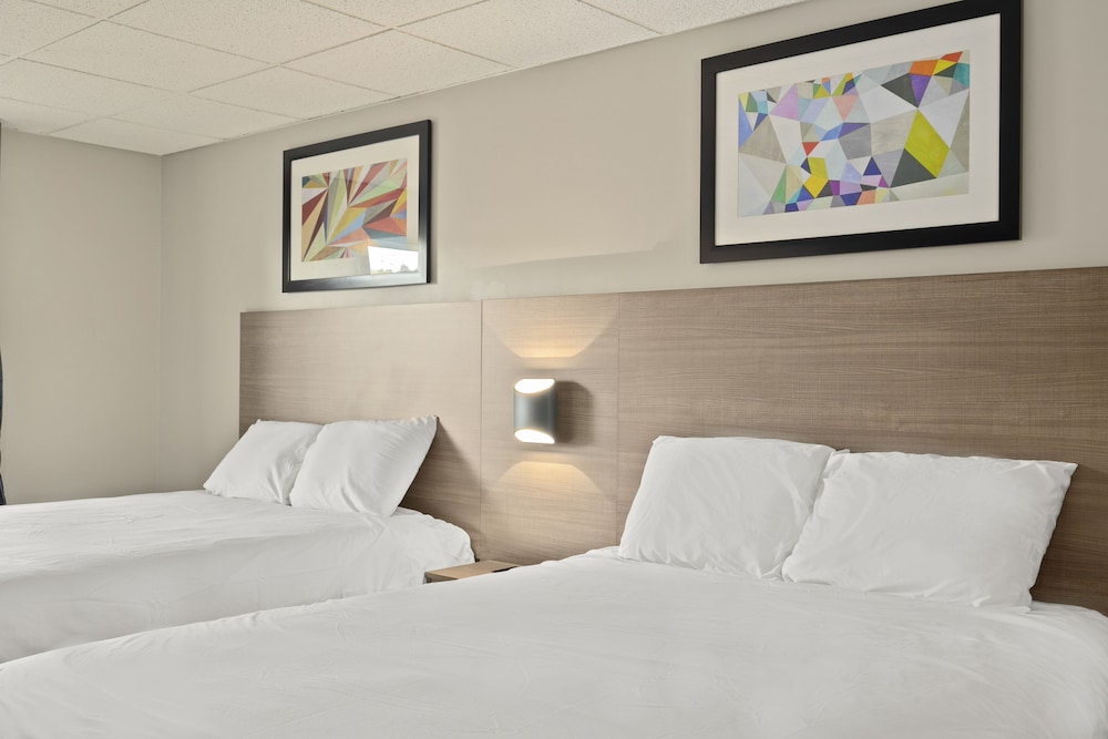 The Elmwood - featured photo