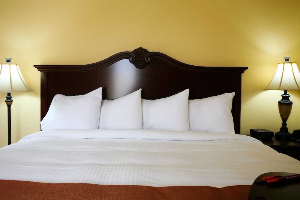Main Street Inn - photo 17